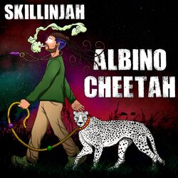 Cover of Albino Cheetah