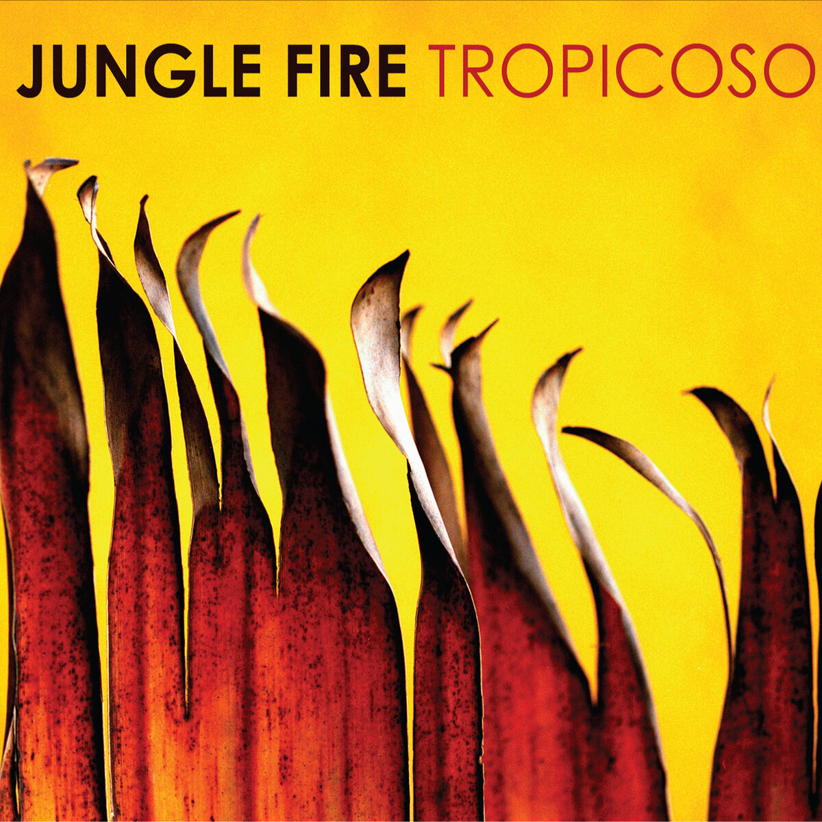 Album cover of Tropicoso