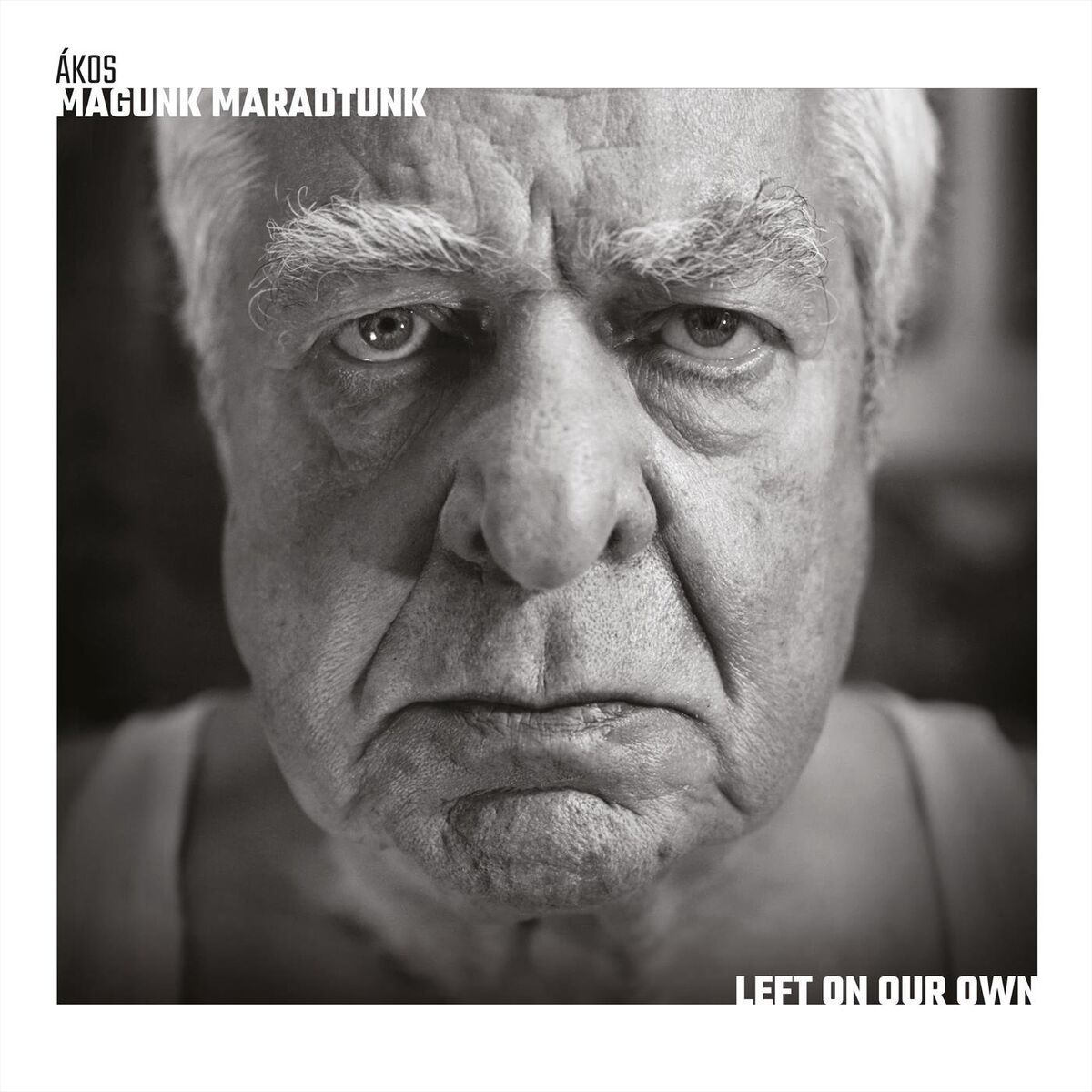 Album cover of Taxismagány
