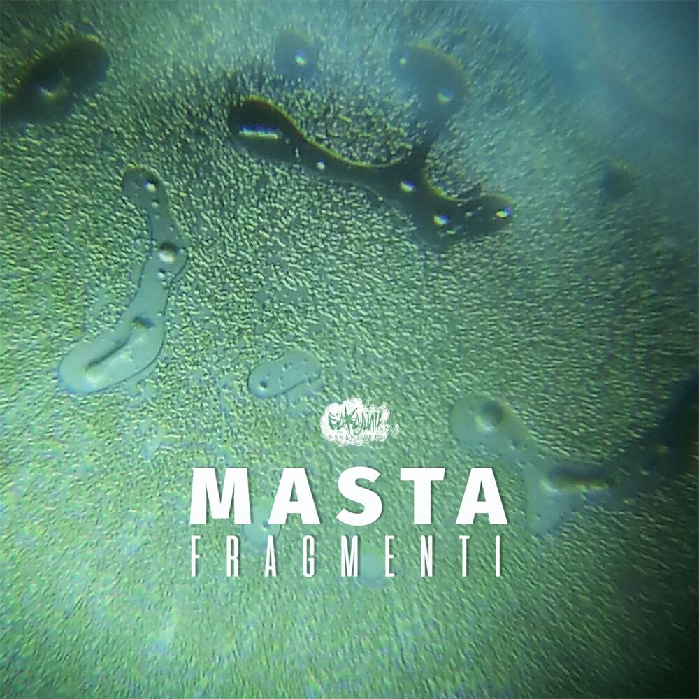 Picture of Fragmenti