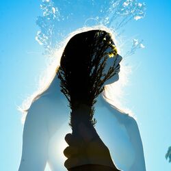 Cover of Soft Hands