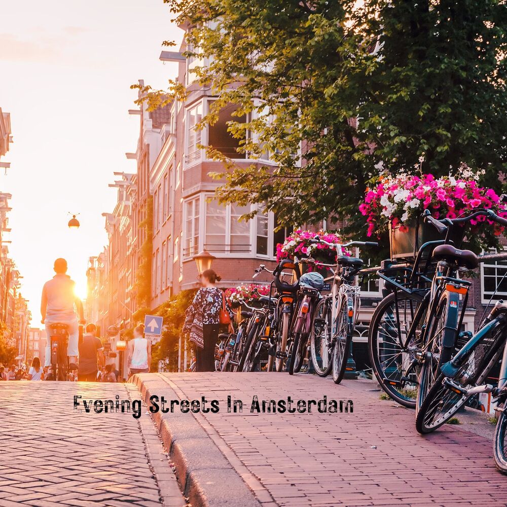 Picture of Evening Streets In Amsterdam