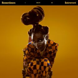 Cover of Sometimes I Might Be Introvert