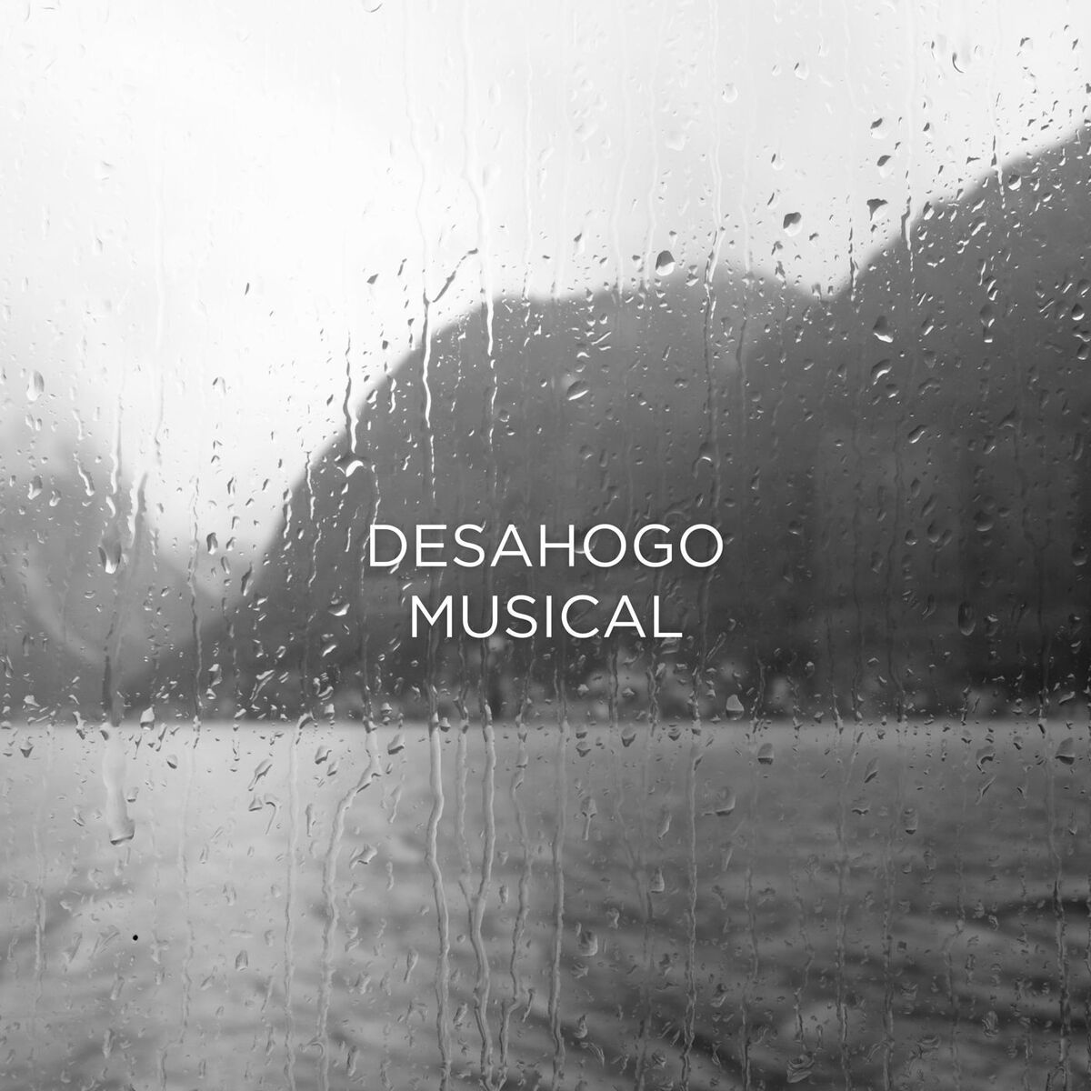 Album cover of Desahogo Musical