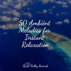 Cover of 50 Ambient Melodies for Instant Relaxation