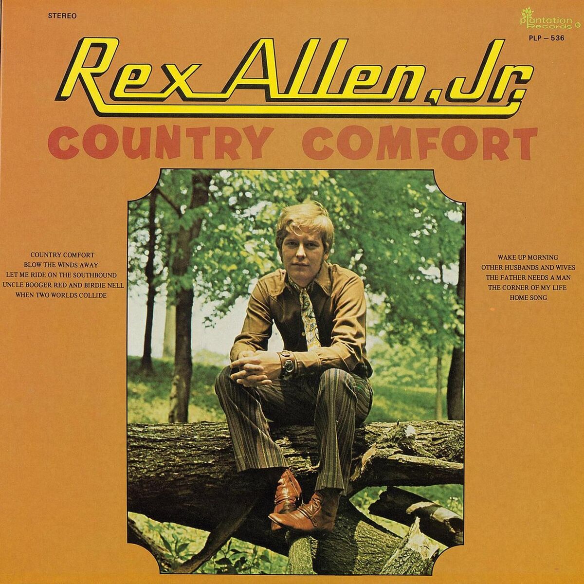 Album cover of Let Me Ride on the Southbound