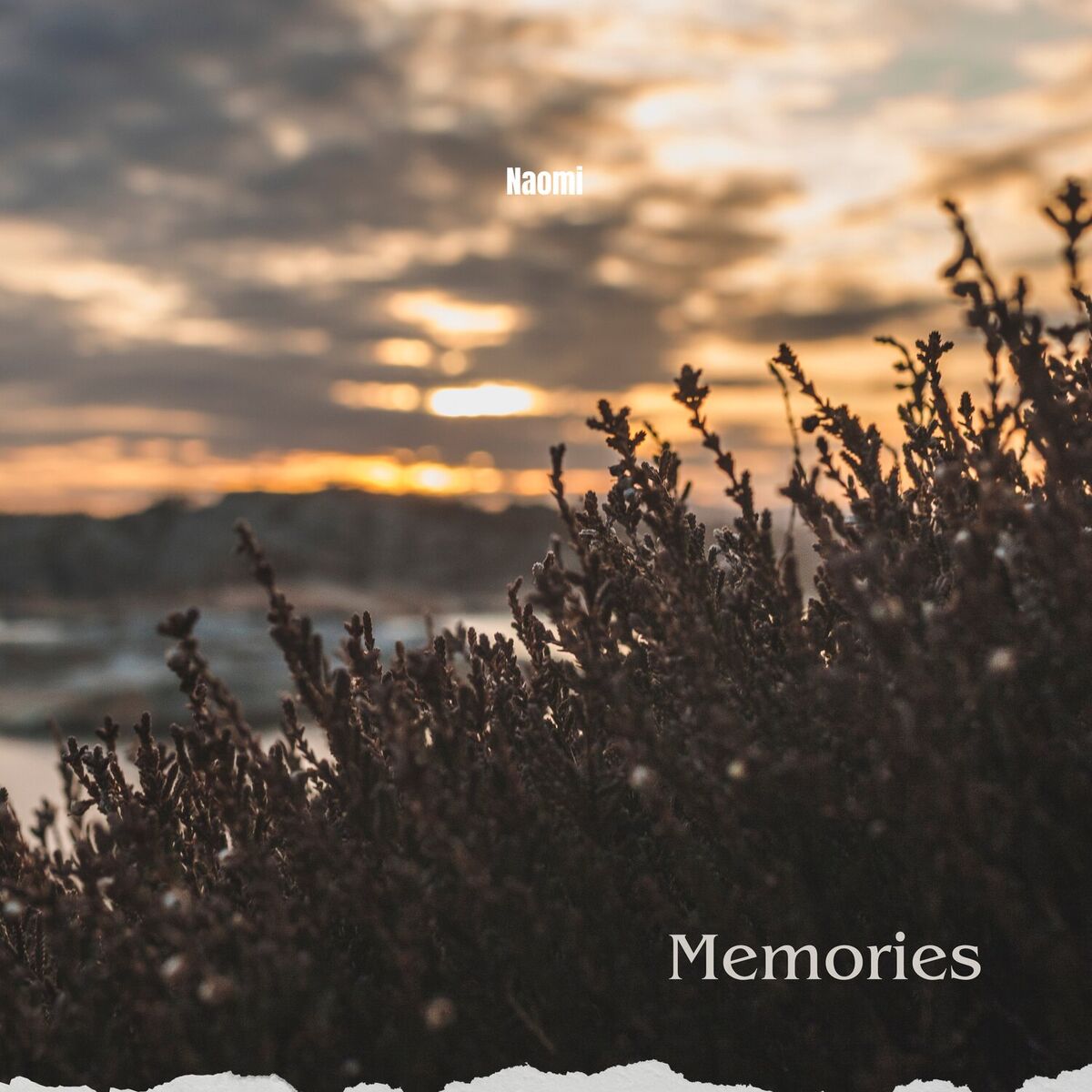 Album cover of Memories