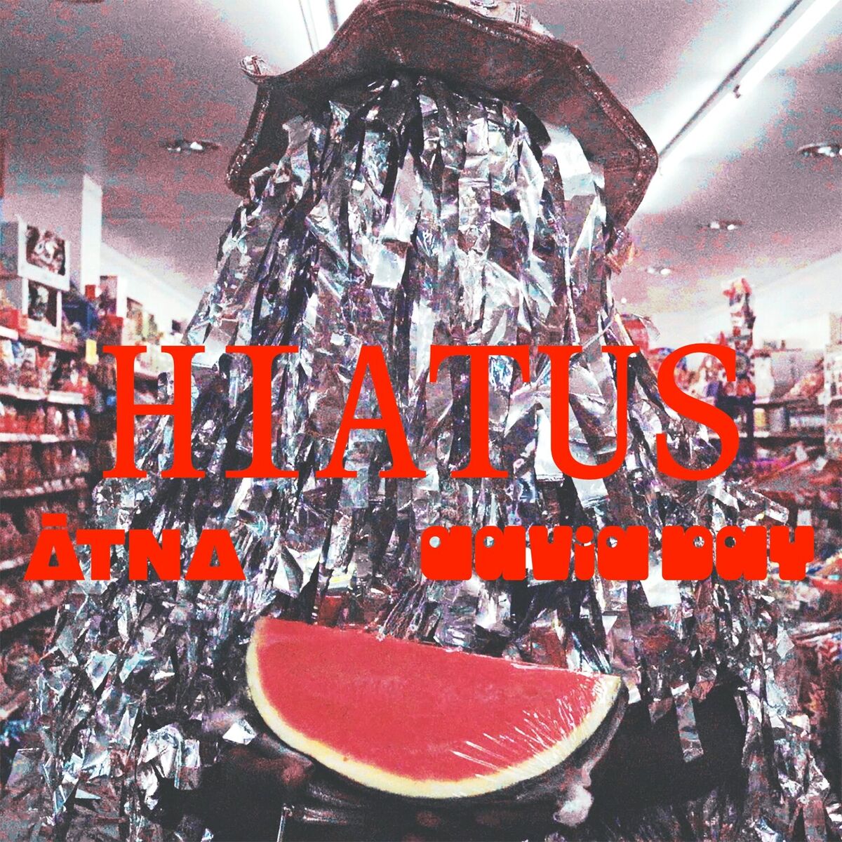 Album cover of Hiatus (David Bay Remix)