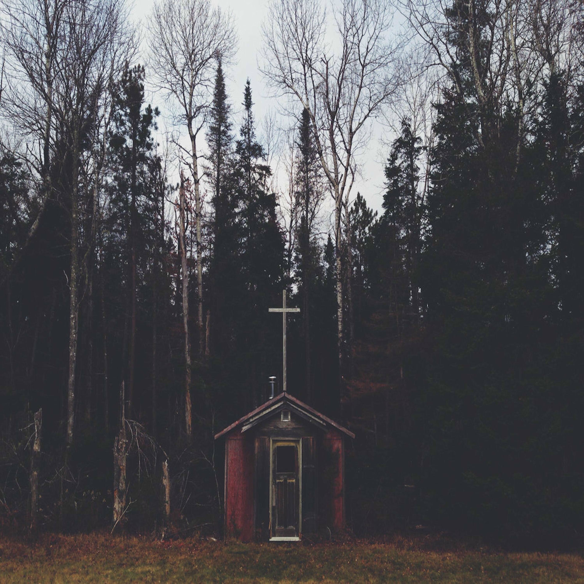 Album cover of First Love
