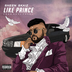 Cover of Like Prince