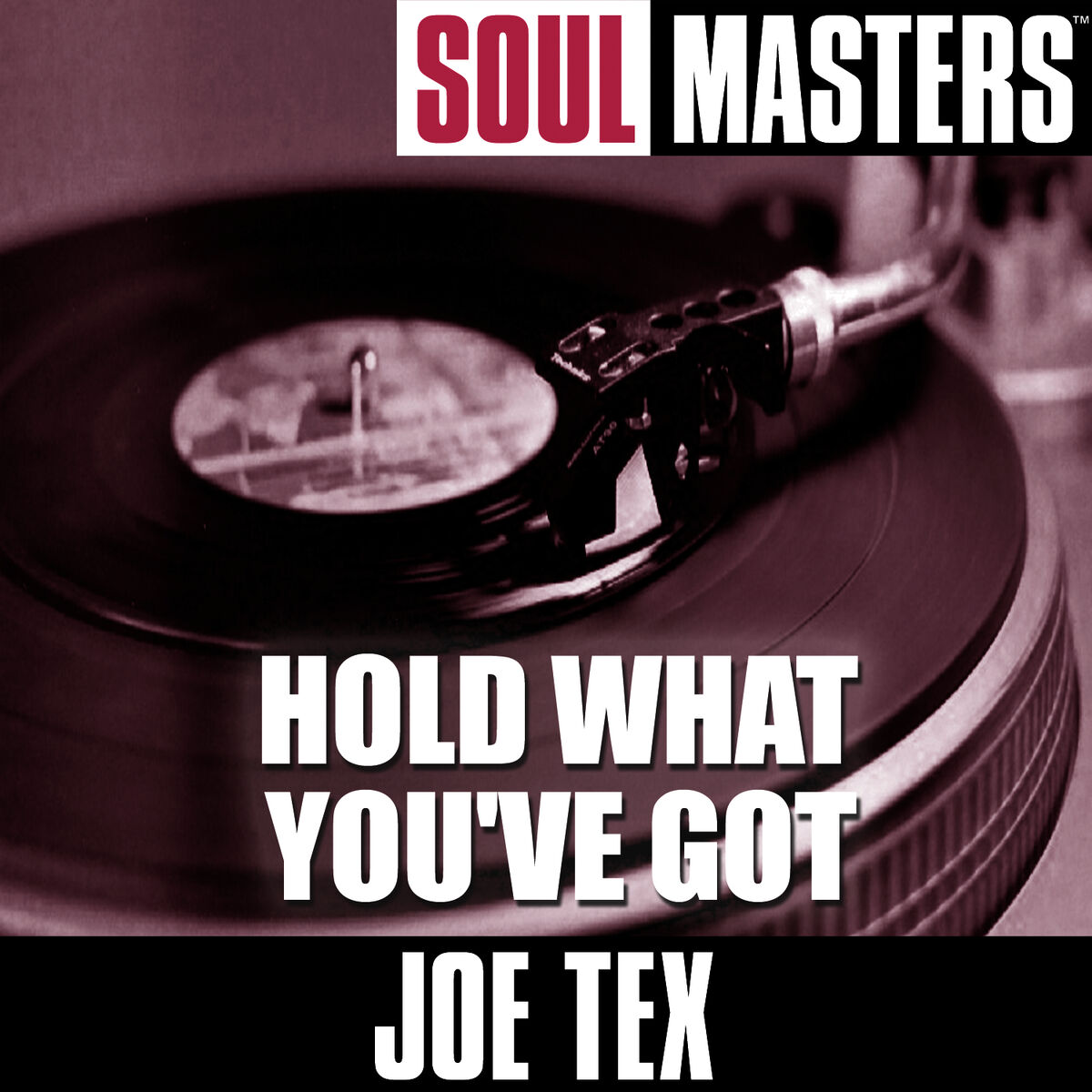 Album picture of Soul Masters: Hold What You've Got