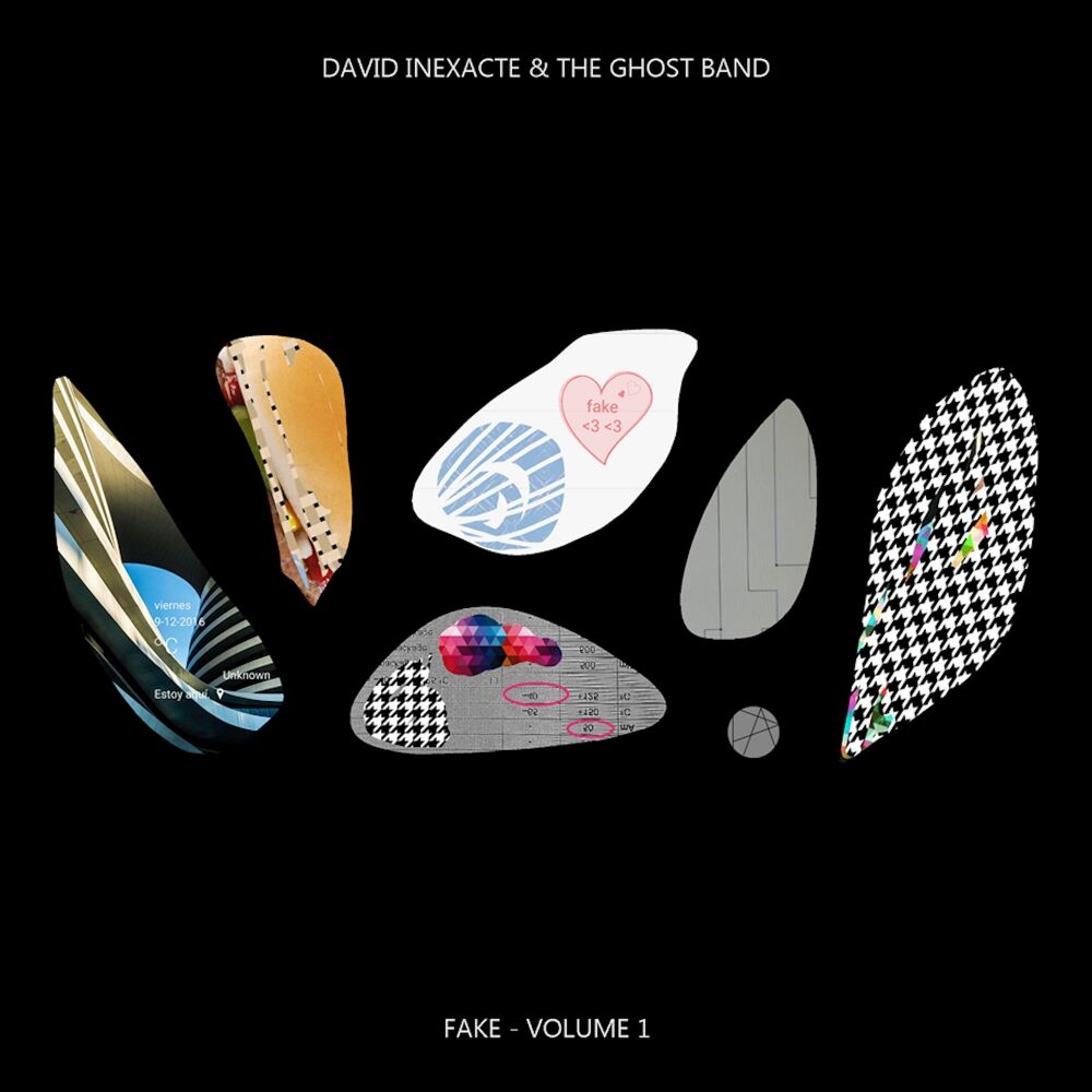 Picture of Fake, Vol. 1