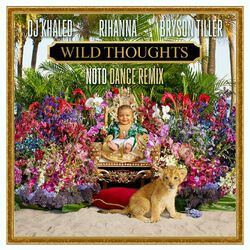 Cover of Wild Thoughts (feat. Rihanna & Bryson Tiller) (NOTD Dance Remix)