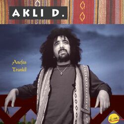 Cover of Anefas trankil