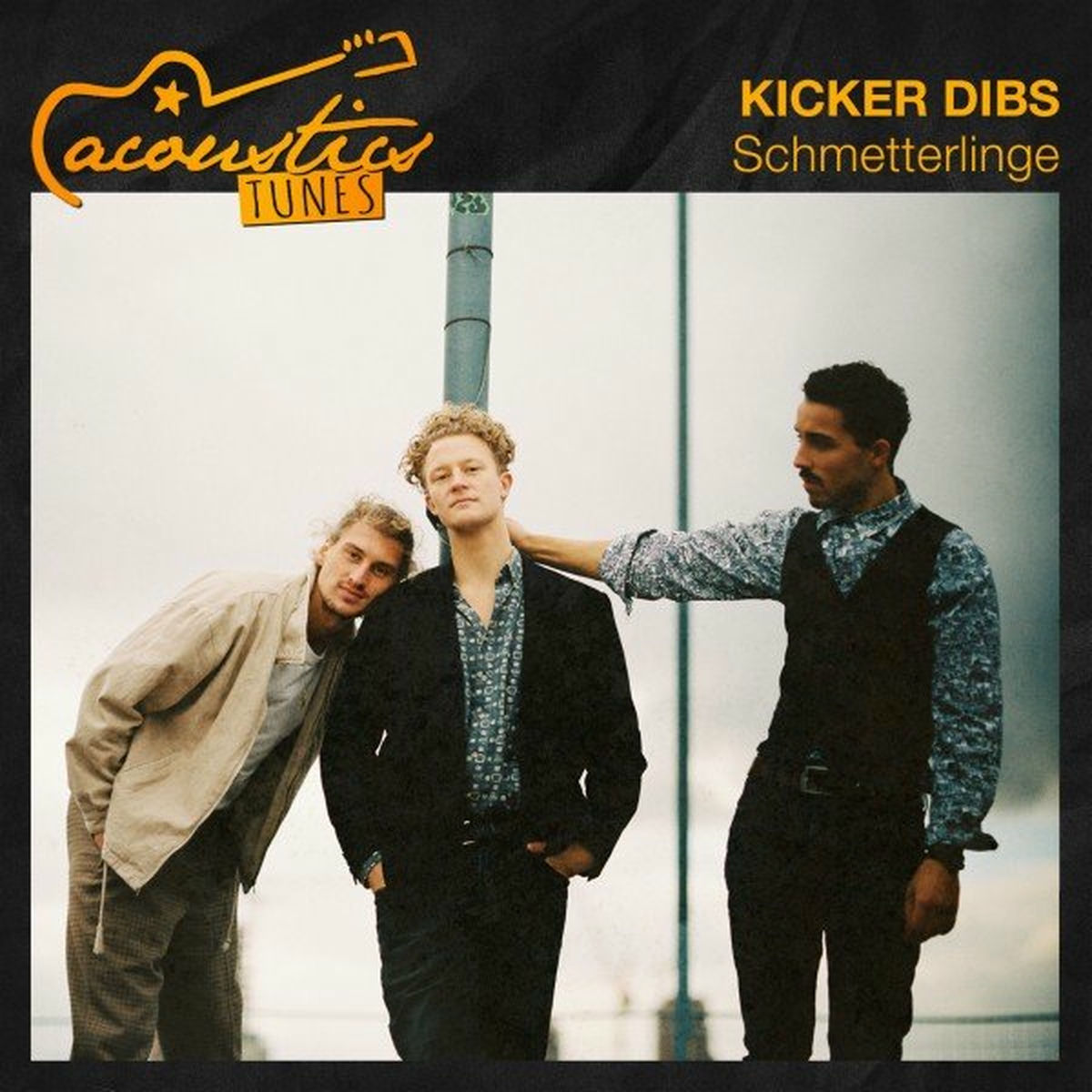 Album cover of Schmetterlinge (Acoustic)