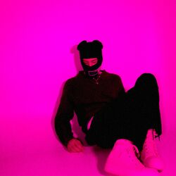 Cover of crash on purpose