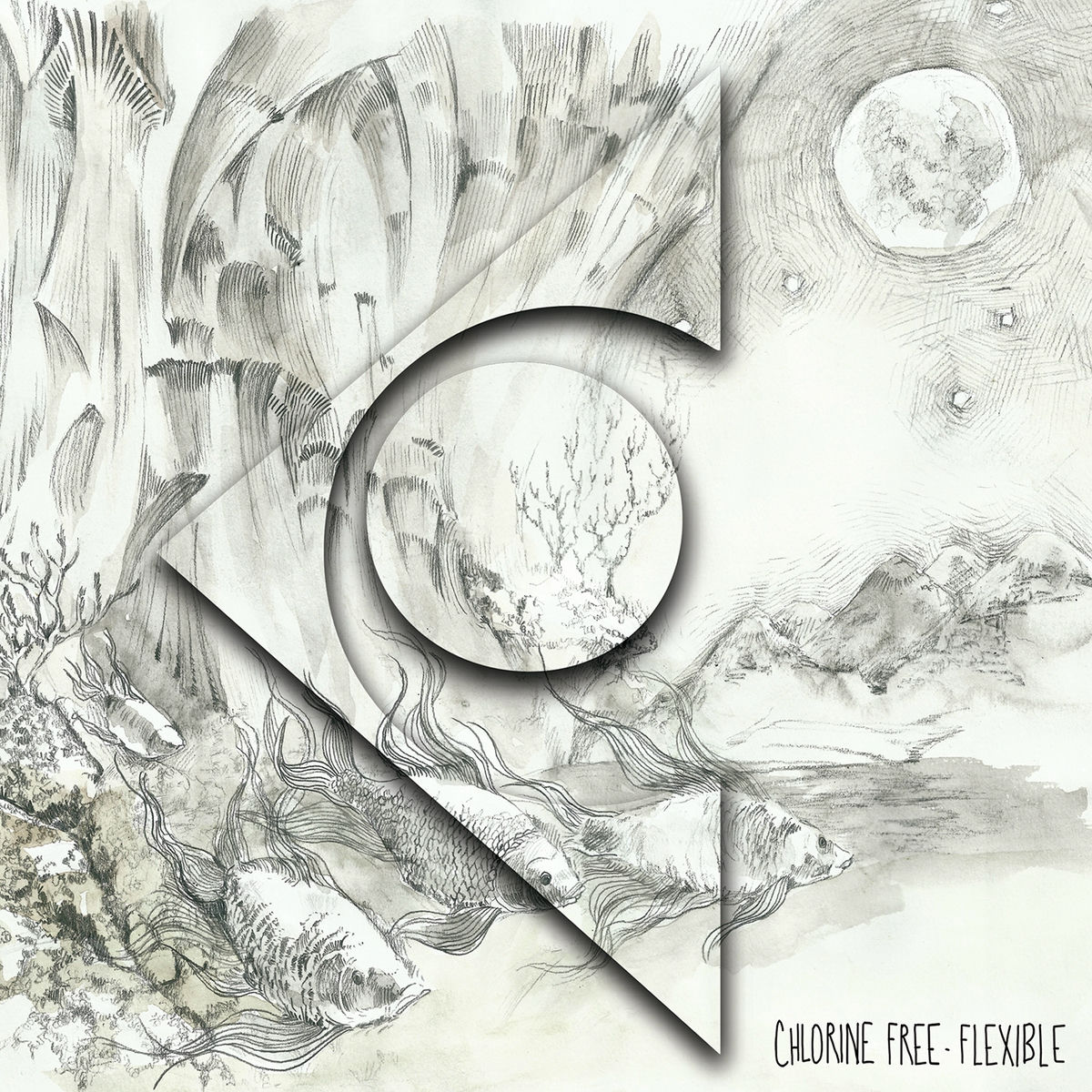 Album cover of Flexible