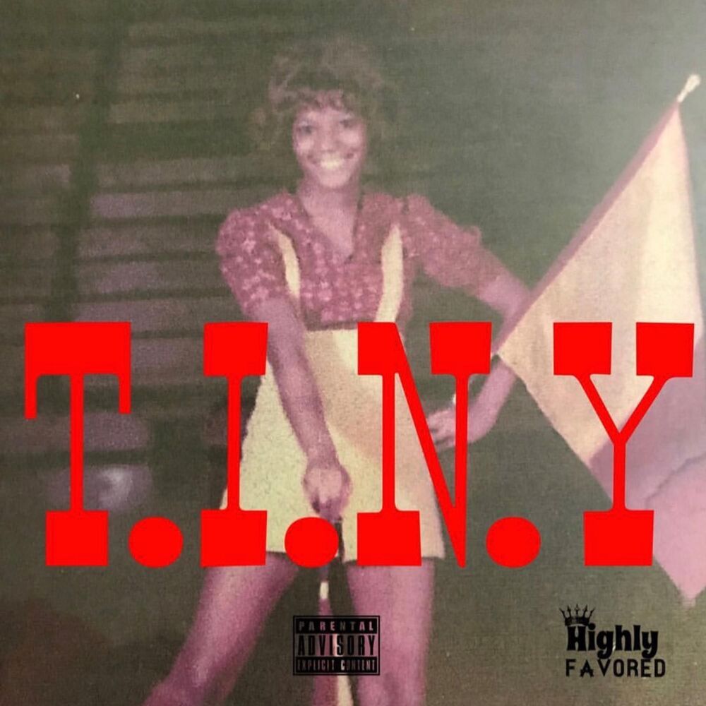 Picture of T.I.N.Y
