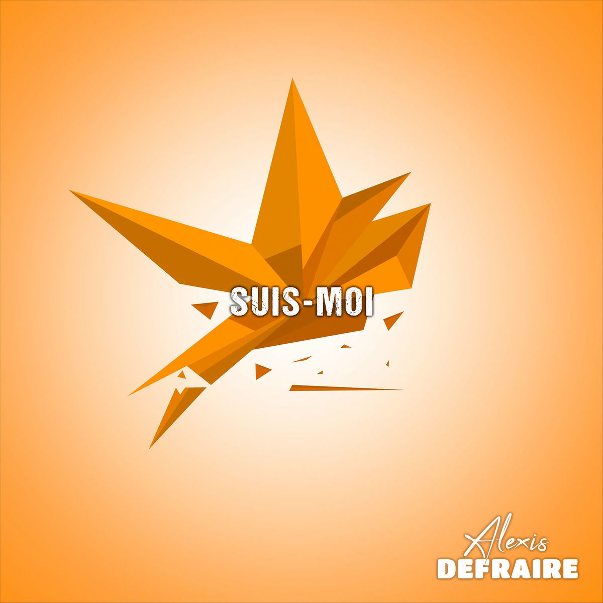 Album cover of Suis-moi