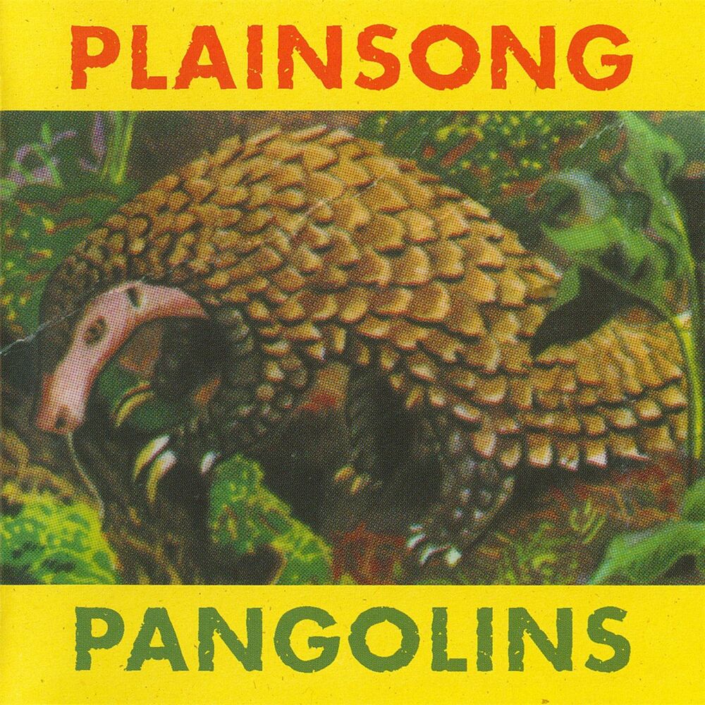 Picture of Pangolins
