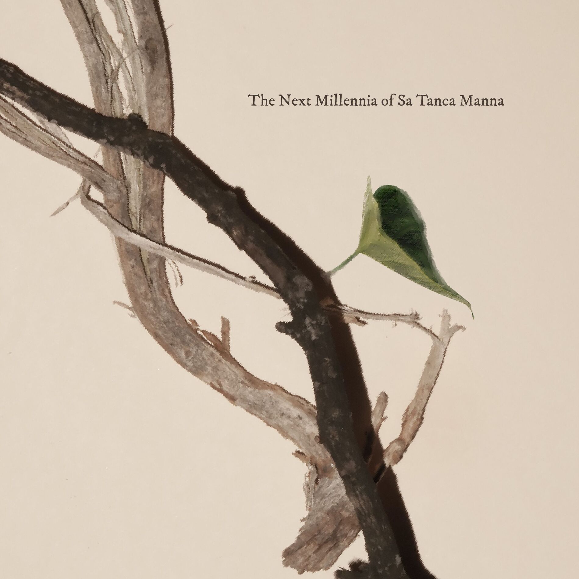 Album cover of The Next Millennia of Sa Tanca Manna