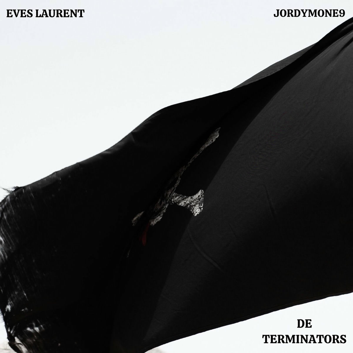Album cover of De Terminators
