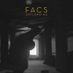 Cover of Skylarking