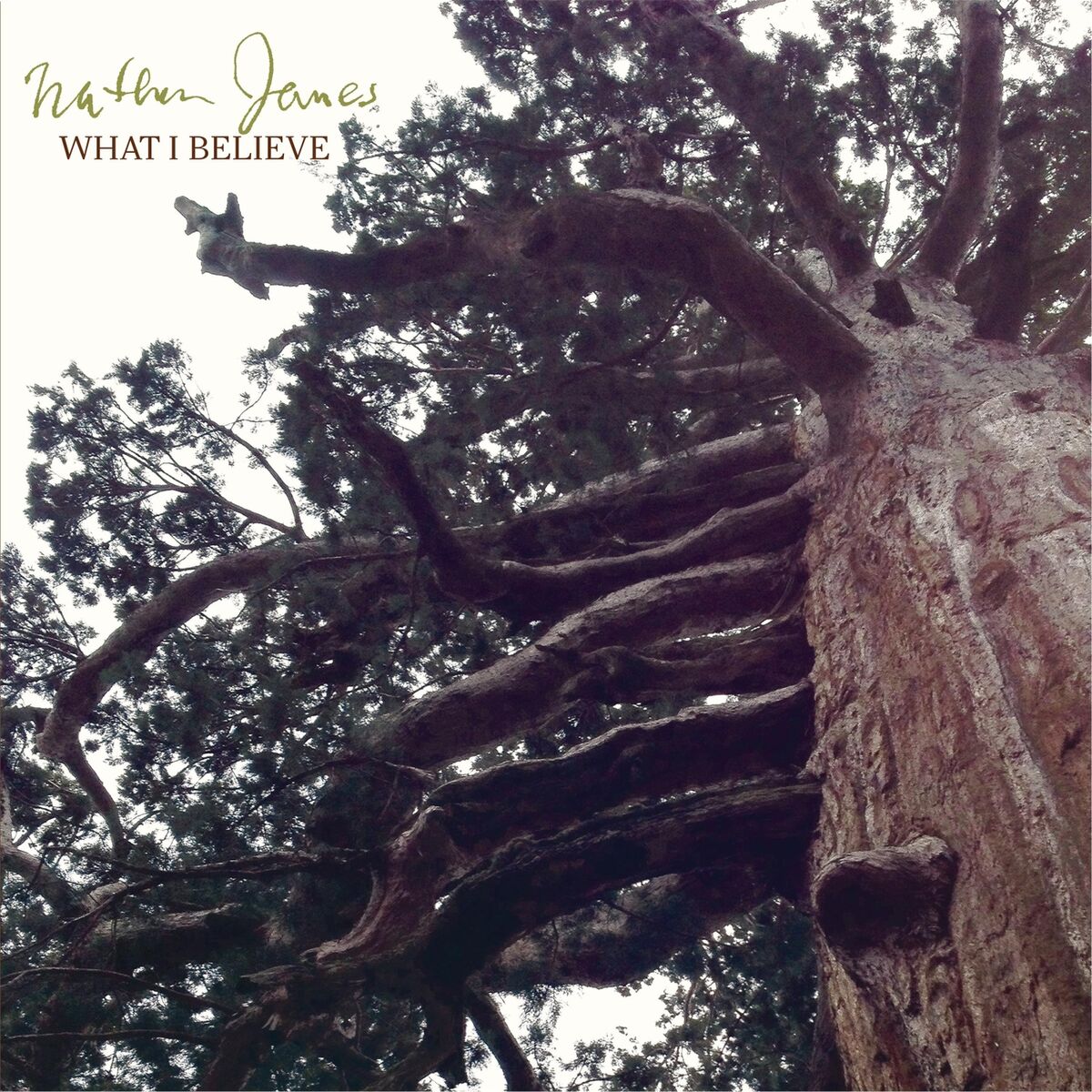 Album cover of What I Believe