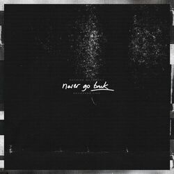 Cover of Never Go Back