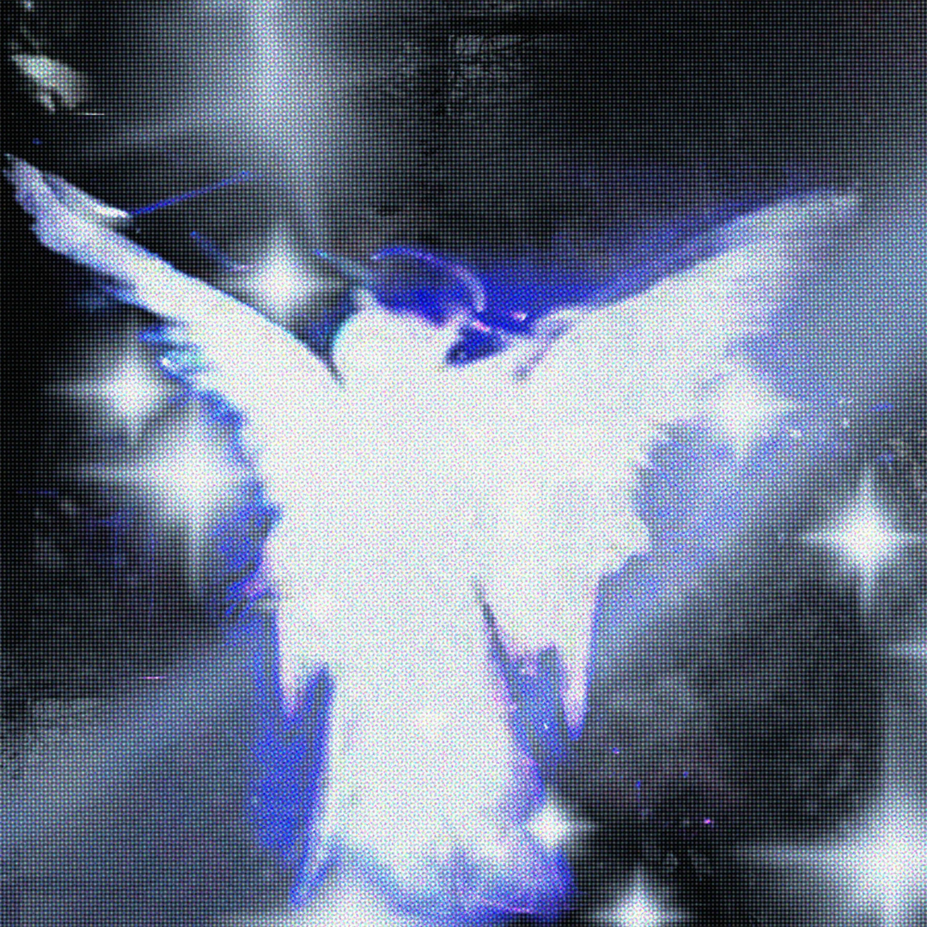 Album cover of self destruction (feat. longlost)