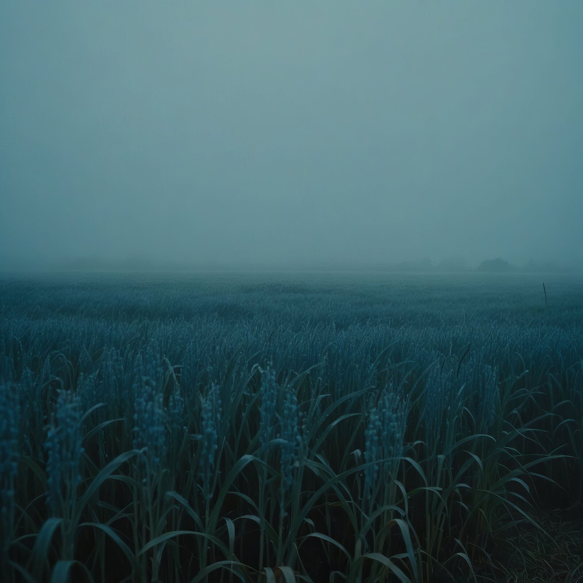 Album cover of Dreamscape