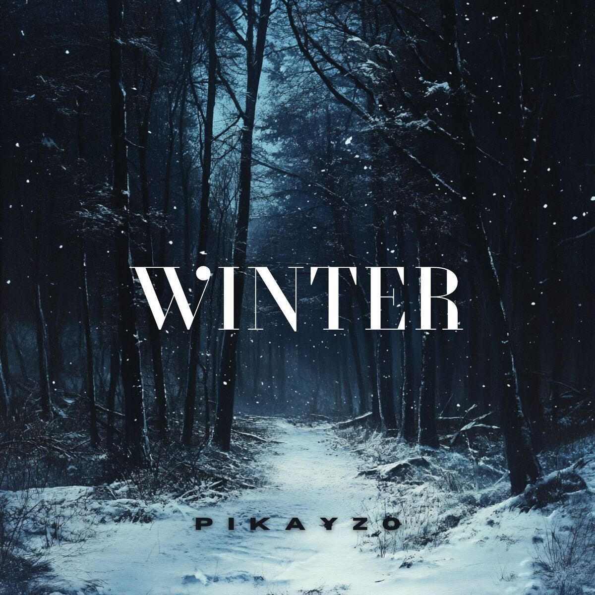 Album cover of Winter