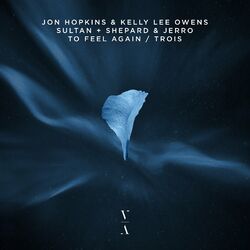 Cover of To Feel Again / Trois