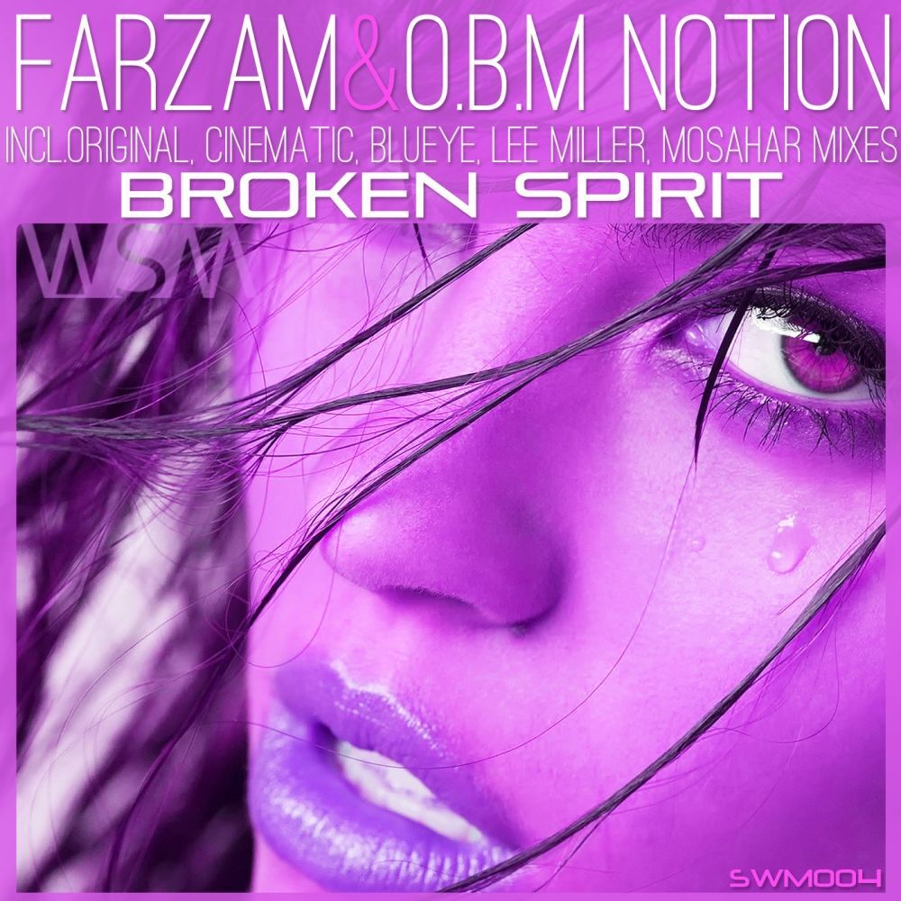 Picture of Broken Spirit