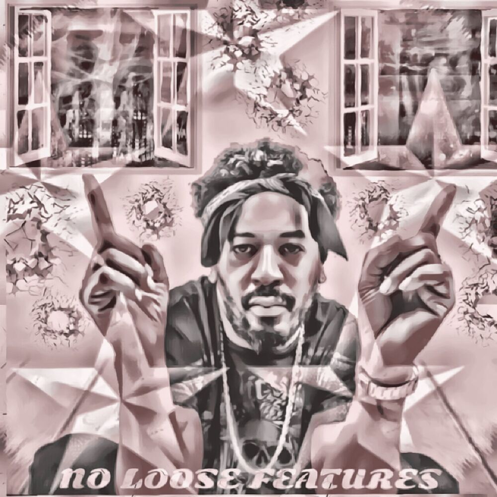 Picture of No Loose Features