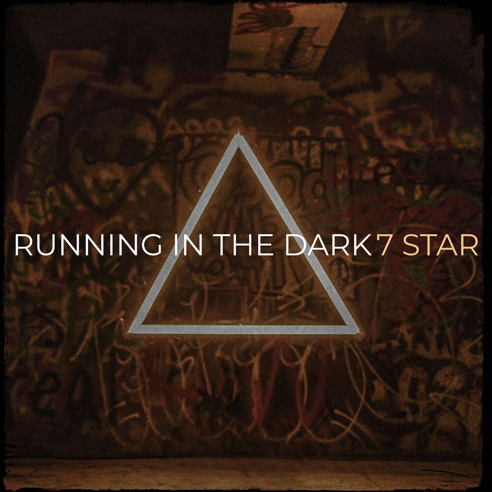 Picture of Running in the Dark