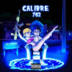 Cover of Calibre 762