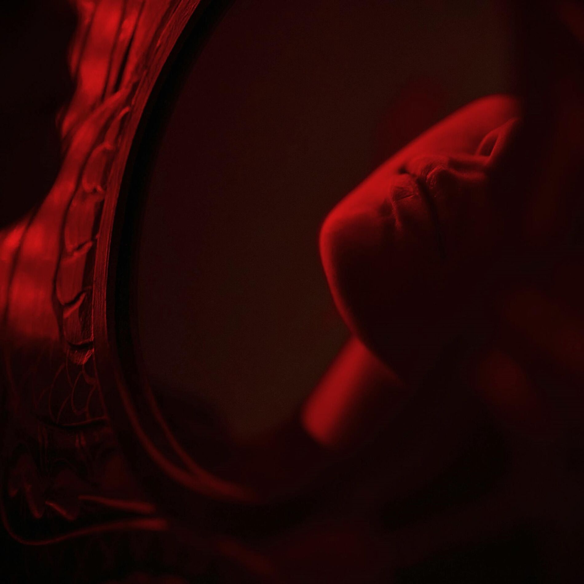 Album cover of Velour