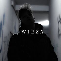 WIEŻA