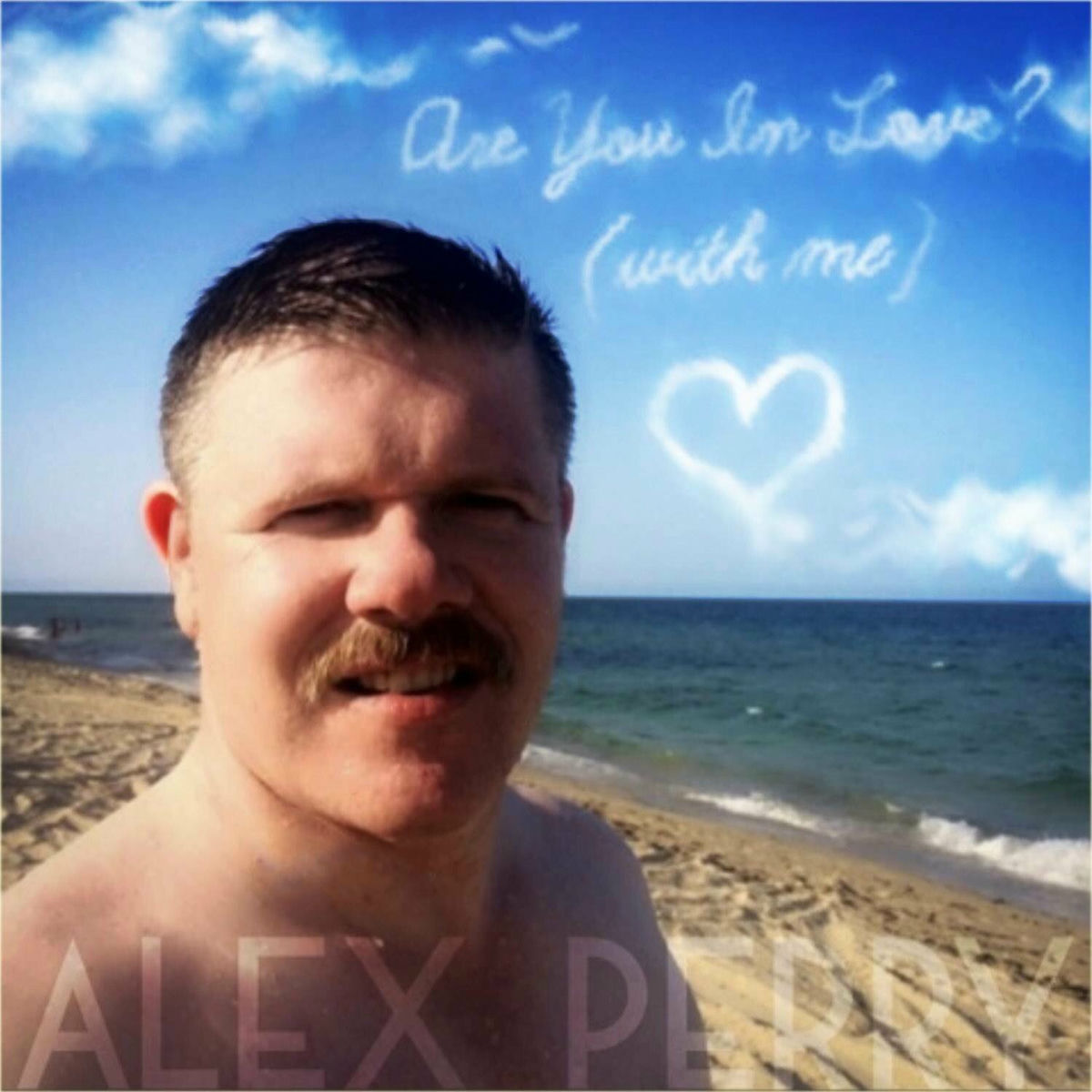 Album cover of Are You In Love ?