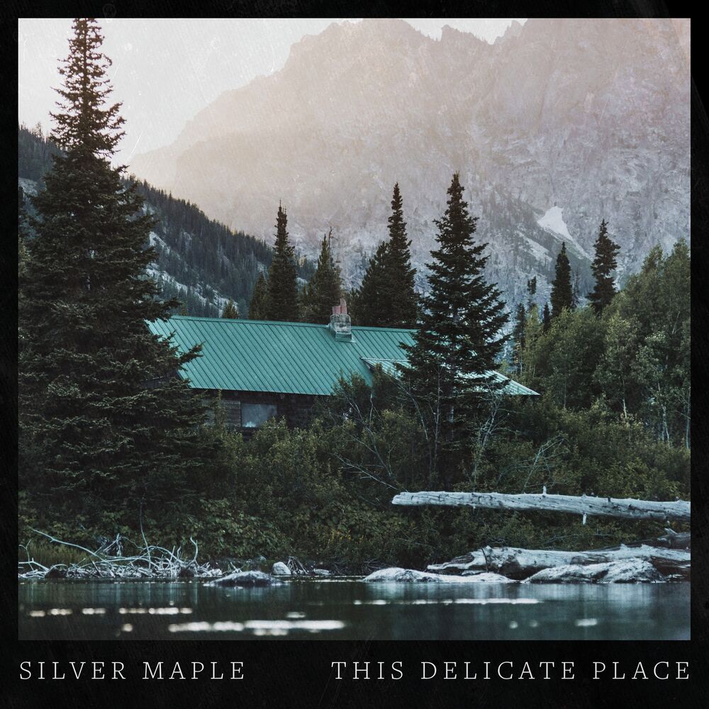 Picture of This Delicate Place