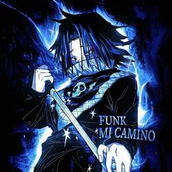 Cover of FUNK MI CAMINO