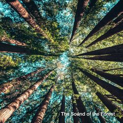 Cover of The Sound of the Forest
