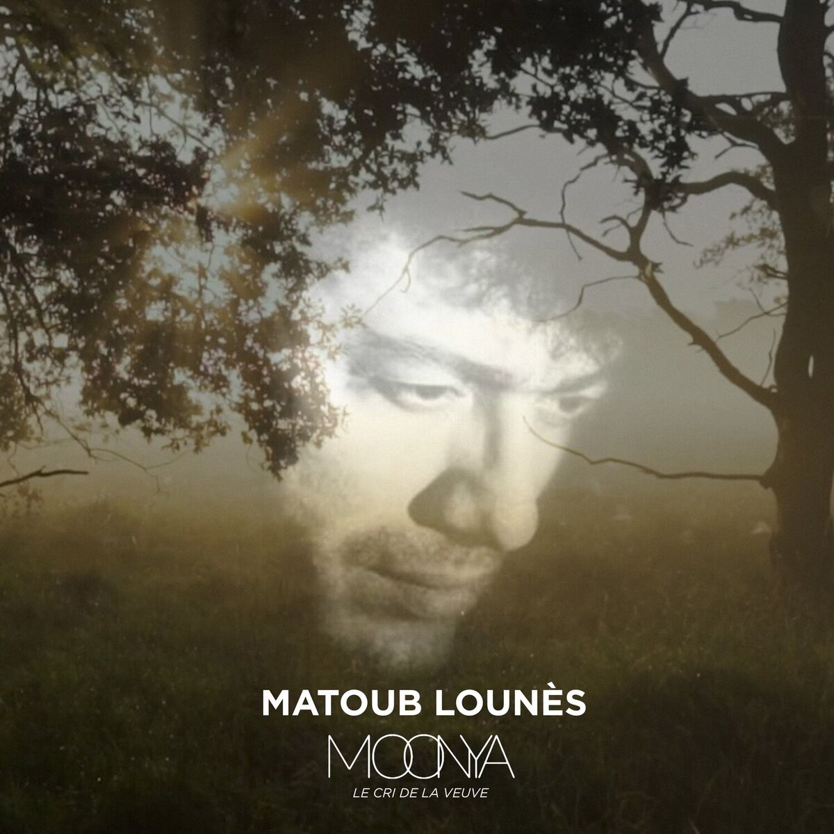 Album cover of Le cri de la veuve