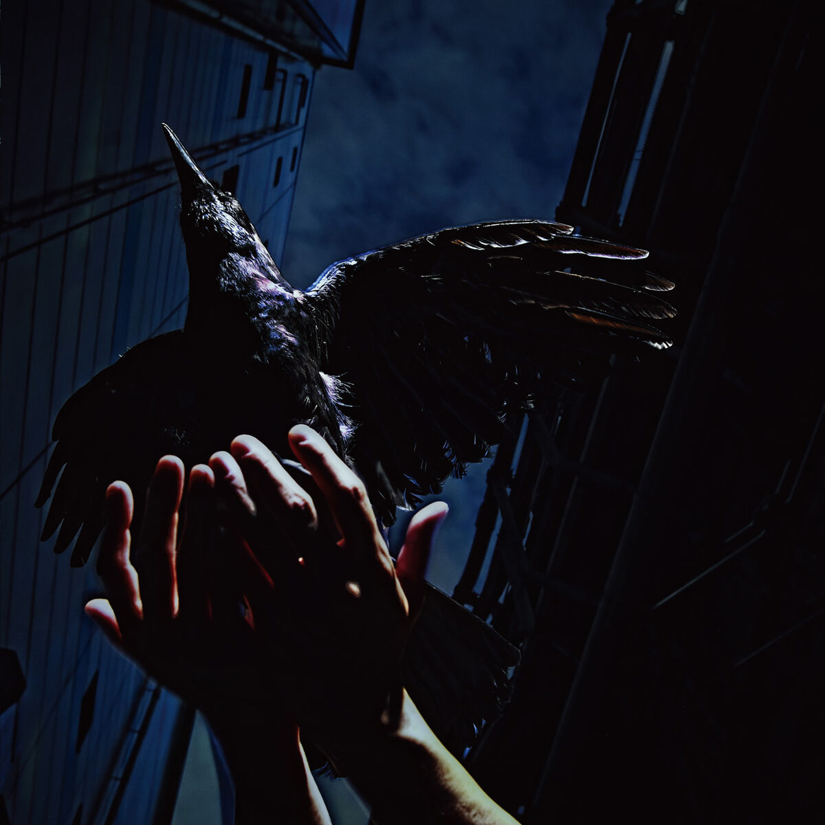 Album cover of Cold Edge - EP