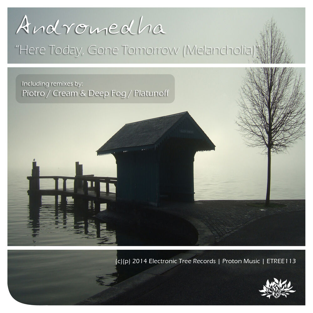 Picture of Here Today, Gone Tomorrow (Melancholia)