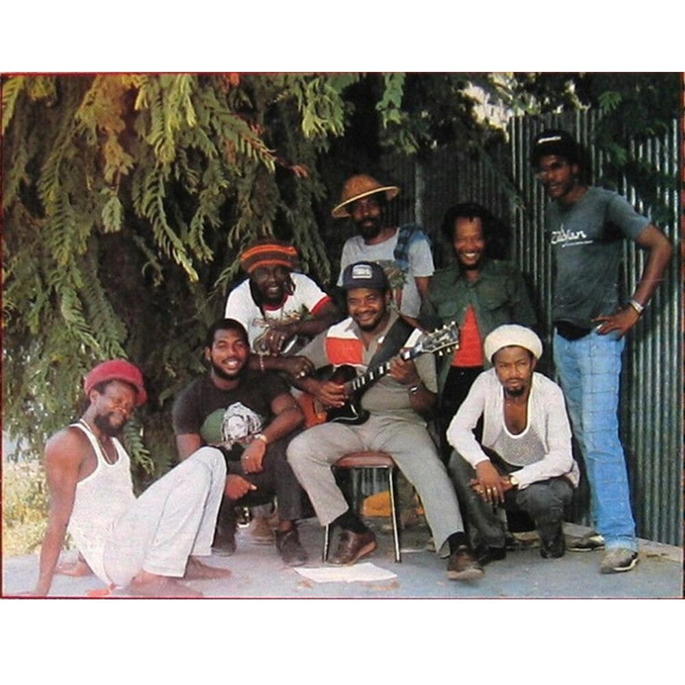 Picture of Rum Tree