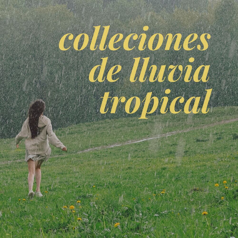 Picture of Colleciones de lluvia tropical