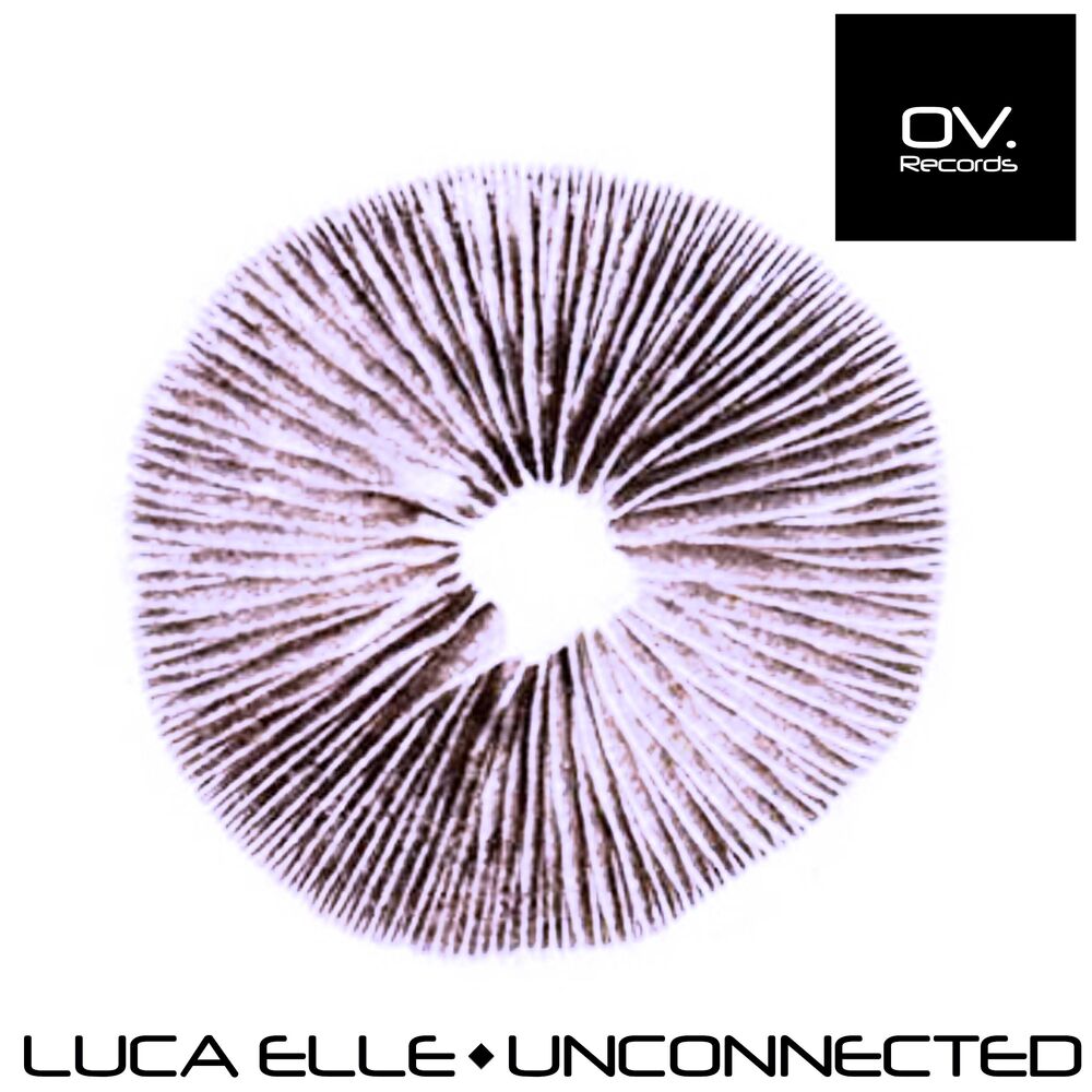 Picture of Unconnected