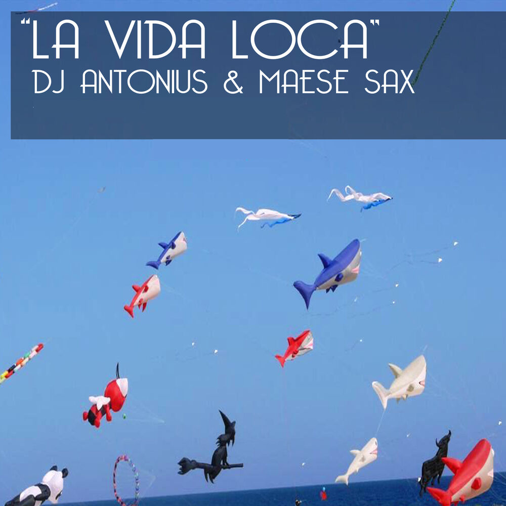 Picture of La Vida Loca